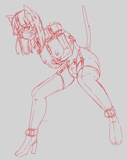 施設から脱走した猫 