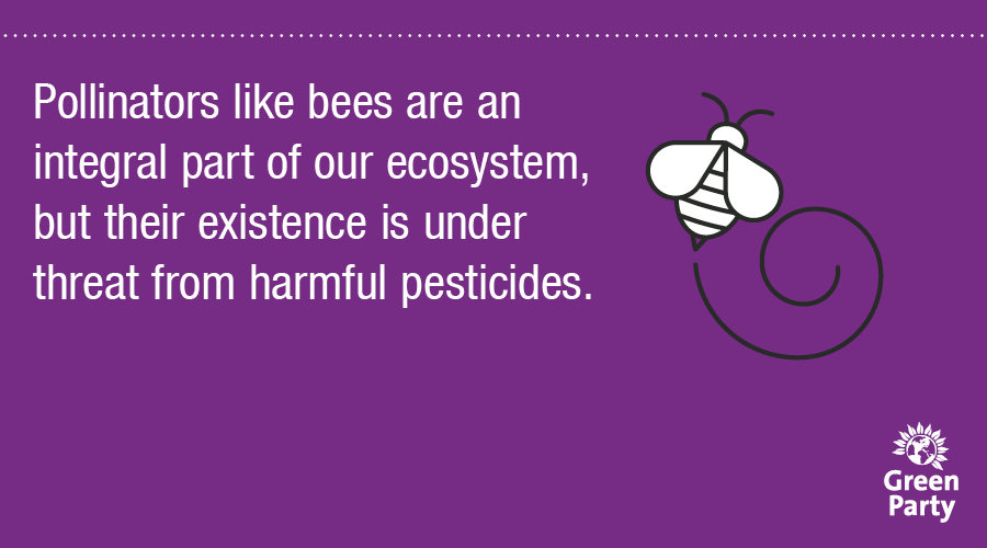  Pesticide use can harm pollinators like bees by impacting their ability to forage, their ability to reproduce, their navigational systems and immune system responses.