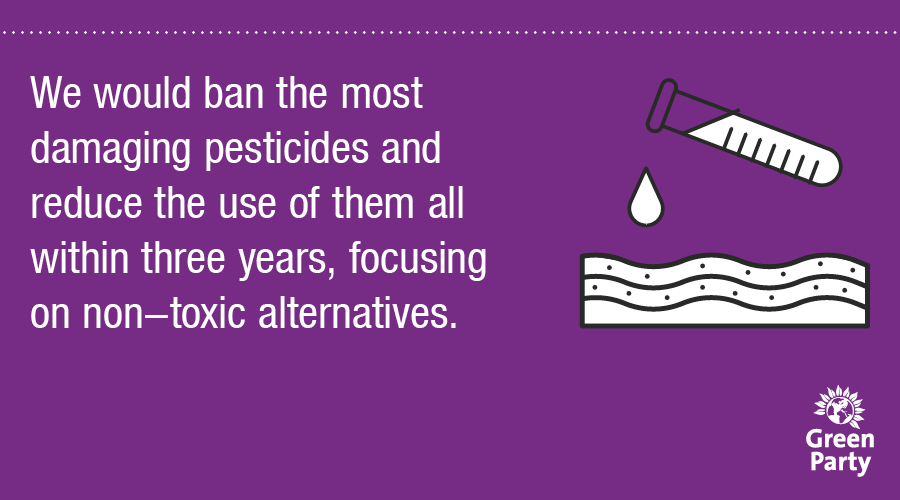  Banning the most harmful pesticides and focusing on non-toxic alternatives would help mitigate these issues.