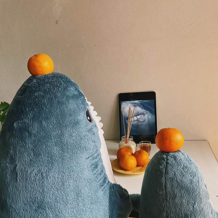 y901664's tweet photo. 向我們的祖先致敬🍊🍊 https://t.co/xInLTilGoB