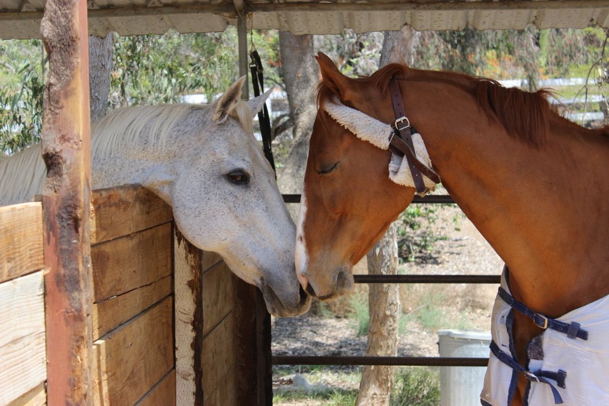 Happy Valentine’s Day ❤️From Our Barn to Yours.