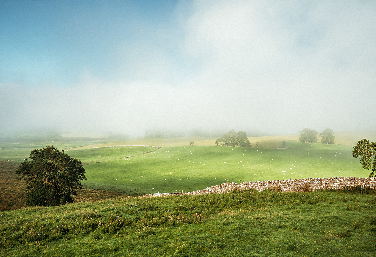 Each morning we open a window to the #YorkshireDales to help bring the outdoors, indoors while we're all staying home.

This morning's view is mist in #Airedale 💚

Share your favourite Dales views using #OutdoorsIndoors.

📷 Christopher Werrett

#StayHomeAndSaveLives