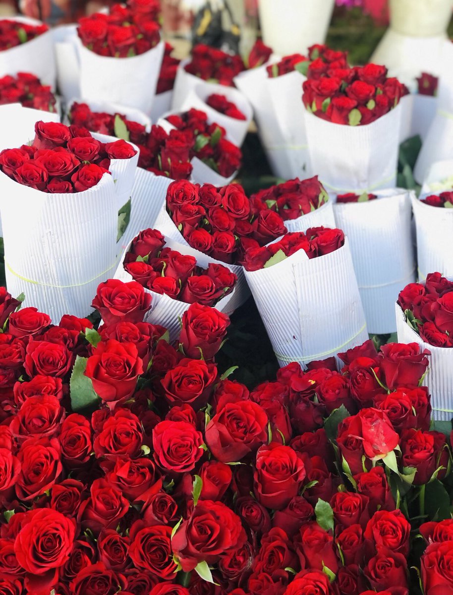 11112Nayab's tweet photo. Valentine’s Day. #Afghanistan https://t.co/JXpK6KbzWh