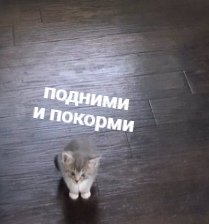 ЗАСРАНКА (@_tutanhamon_) on Twitter photo 