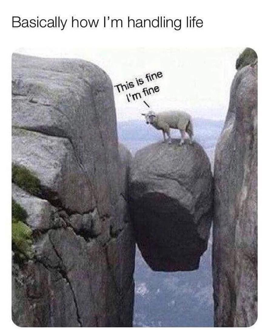 smars319's tweet photo. Pretty much sums up the past few weeks. Thank you to my Twitter fam, my friends and family, and of course my #charakitty and @mcohen188 for keeping me sane. Love all of you! ❤️ #everythingsfine #QuarantineLife #framilylove https://t.co/WkBsP5YHmj
