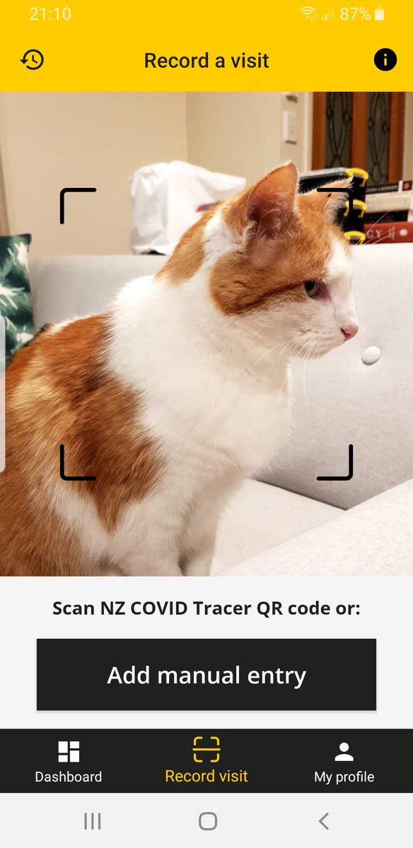 On June 8th we officially had no cases of  #covid19 within the community in New Zealand. We moved to Level 1, which is basically normal life, but with more hand washing, and scanning in with the covid-19 app everywhere you go.