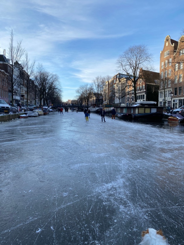 ShariqNyc's tweet photo. #Amsterdam #AMS2021 #goedemorgen    
@Westerkerk1  @DutchNewsNL @parool @Iamsterdam @IamExpatNL @amsterdamnow @webcare020 @FD_Nieuws @AmsterdamNL @ExpaticaNL @ColumbiaSIPA @NL_Times @AmsTouristInfo @trouw @Amsterdamexplor @NOS #schaatsen #Speeltijd @AT5 #ice #skate @BBCWorld #ice https://t.co/6LnskCPa9l