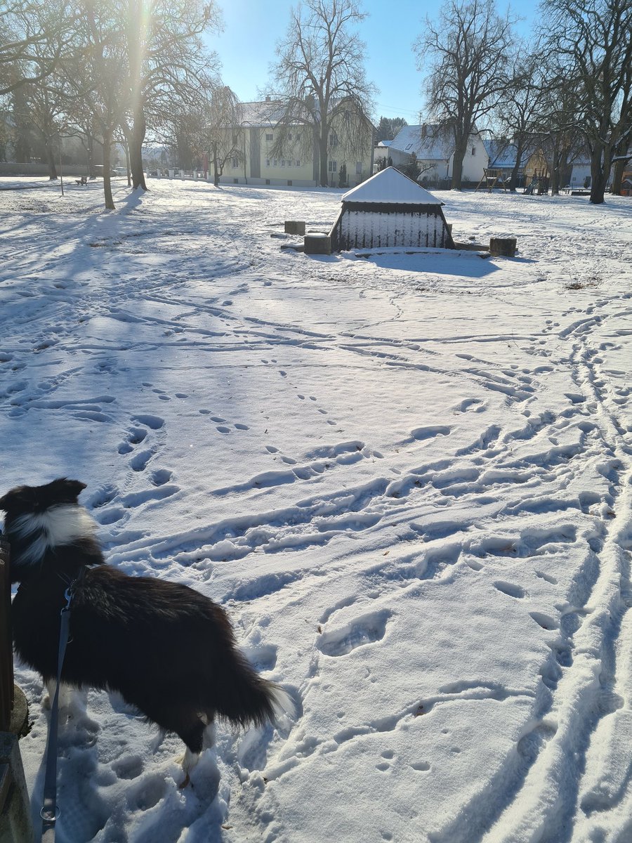 Guten Morgen , kalt aber sonnig