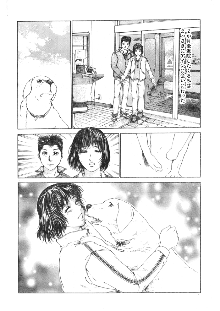盲導犬と歩くことになった女の子の話 5 