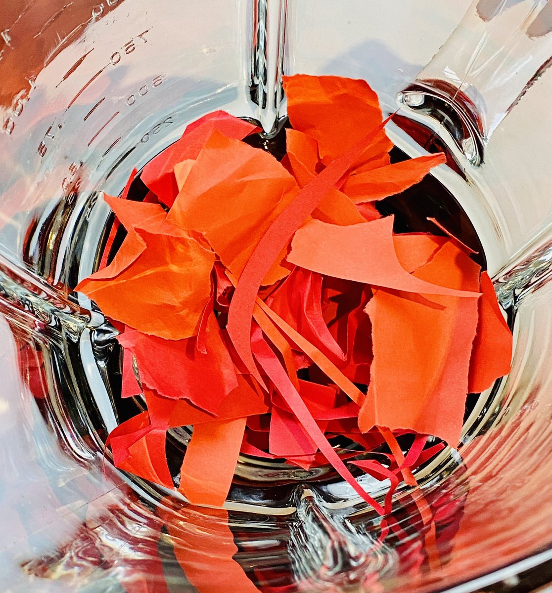 Wee Stems tweet media