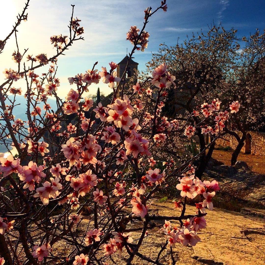 スペインワインと食協会 Age Spainwinefood Twitter