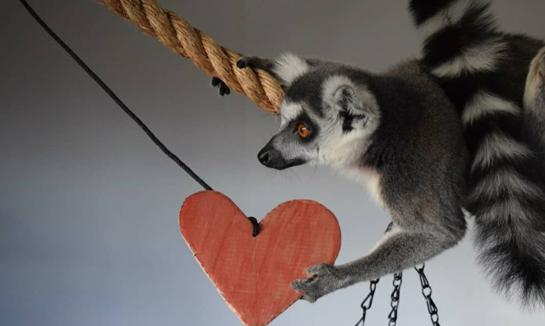 Happy Valentine's Day everyone