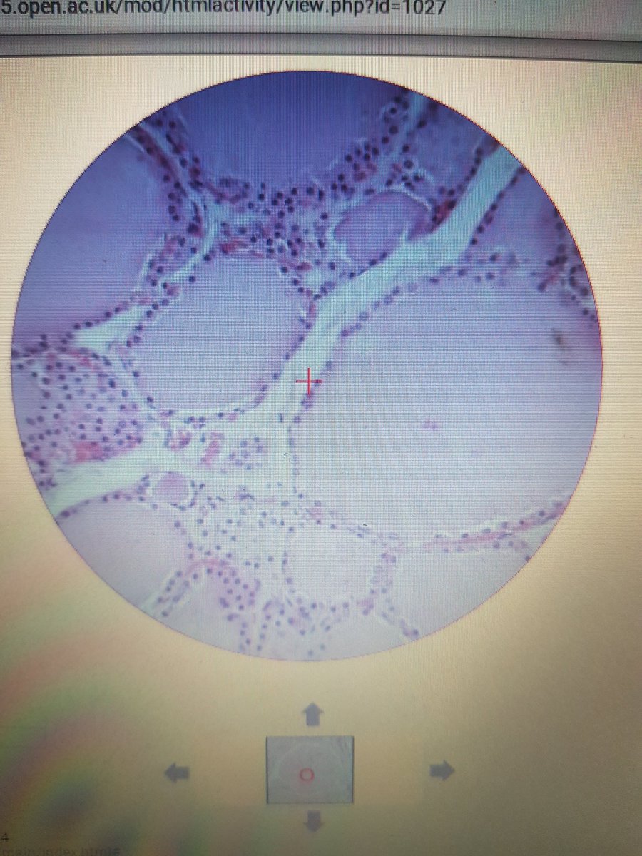 TheBowers78's tweet photo. Nope! 200 words on the synthesis of T3 & T4 hormones.... aaaaaaaand go... πππ
I'm so behind but work has to come 1st atm #SK299 #meh https://t.co/4K9zooo25l