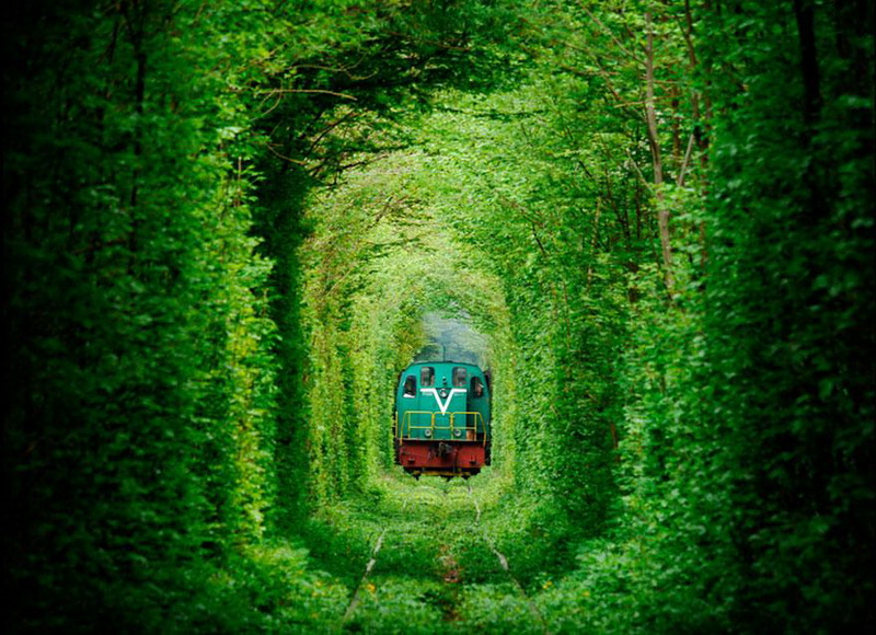 outofofficedaku's tweet photo. Here's a round trip itinerary for backpacking across #Ukraine 

- Cheap flight deals
- Online Visa for Indians
- Hostels as low as 500 Rs.
- Can visit nearby countries
&amp; much more...

More details unlock for the itinerary post this tweet reaches 100 RTs

#DakuNomadTrips https://t.co/MRG8Vpcavg
