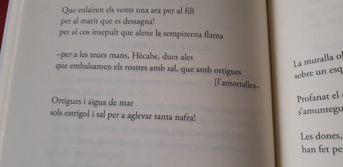 carmela3540's tweet photo. La tragèdia de les guerres emboira sempre el patiment de les dones. Cal recobrar el seu rostre i fer-les visibles.

La gerra d'Hècabe, 
premi Ibn Hafaja 2020 d'Alzira, editat per l'editorial Bromera
#Bromera #LagerradeHecabe @bromera https://t.co/1P0LS8bRas