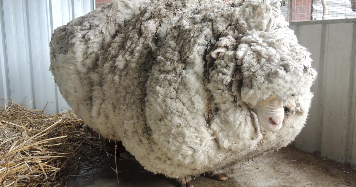 GYR0BALL's tweet image. 