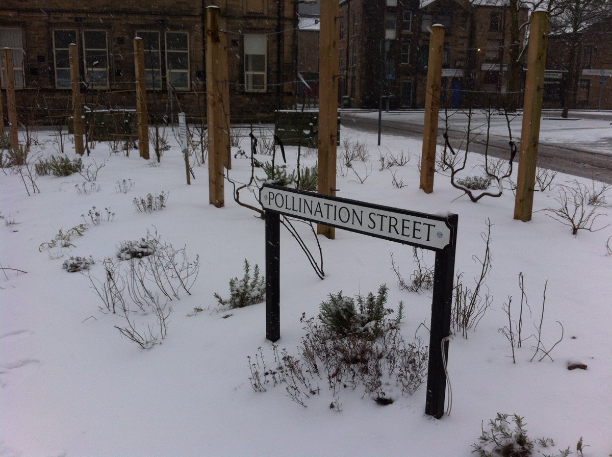 On this Valentines Day we wish <a href="/IncrEdibleSal/">IncrEdible Salford</a>🎉Happy 8th Anniversary🎉! 
IE Salford launched on 14th of February 2013 after <a href="/IanBocock/">Ian Bocock</a> visited a very cold &amp; snowy Todmorden on the 13th of Feb, and then returning to Salford founded the new group. Well done all for 8 amazing years!