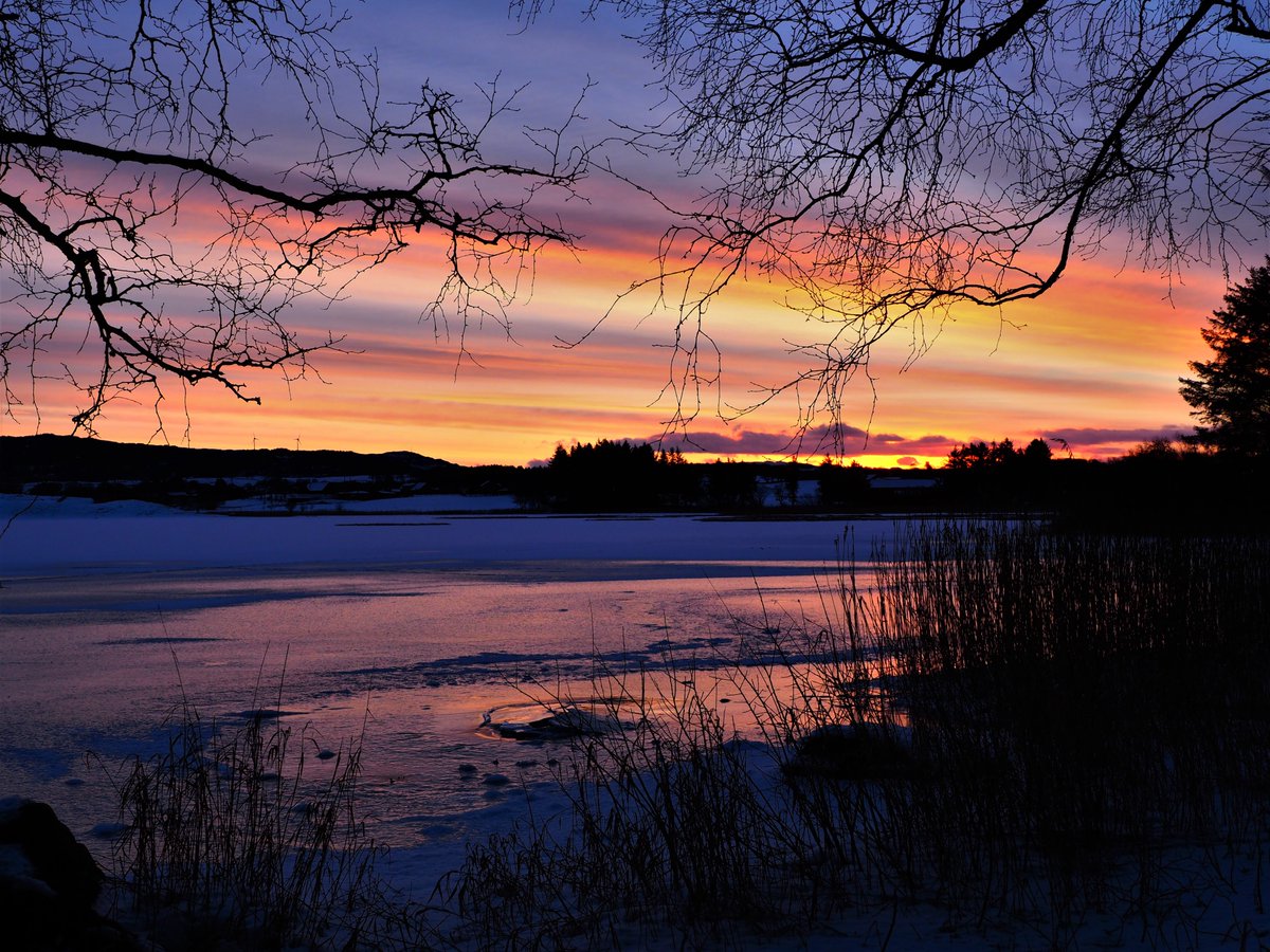 AndreassenLena's tweet photo. Sunrise Jæren Norway 14/2 2021 
@StormHour 
@SnowHour 
@visitnorway 
@ThePhotoHour 
#sunrise #sunrisechasing #sundayvibes https://t.co/p7mn1JmXXx
