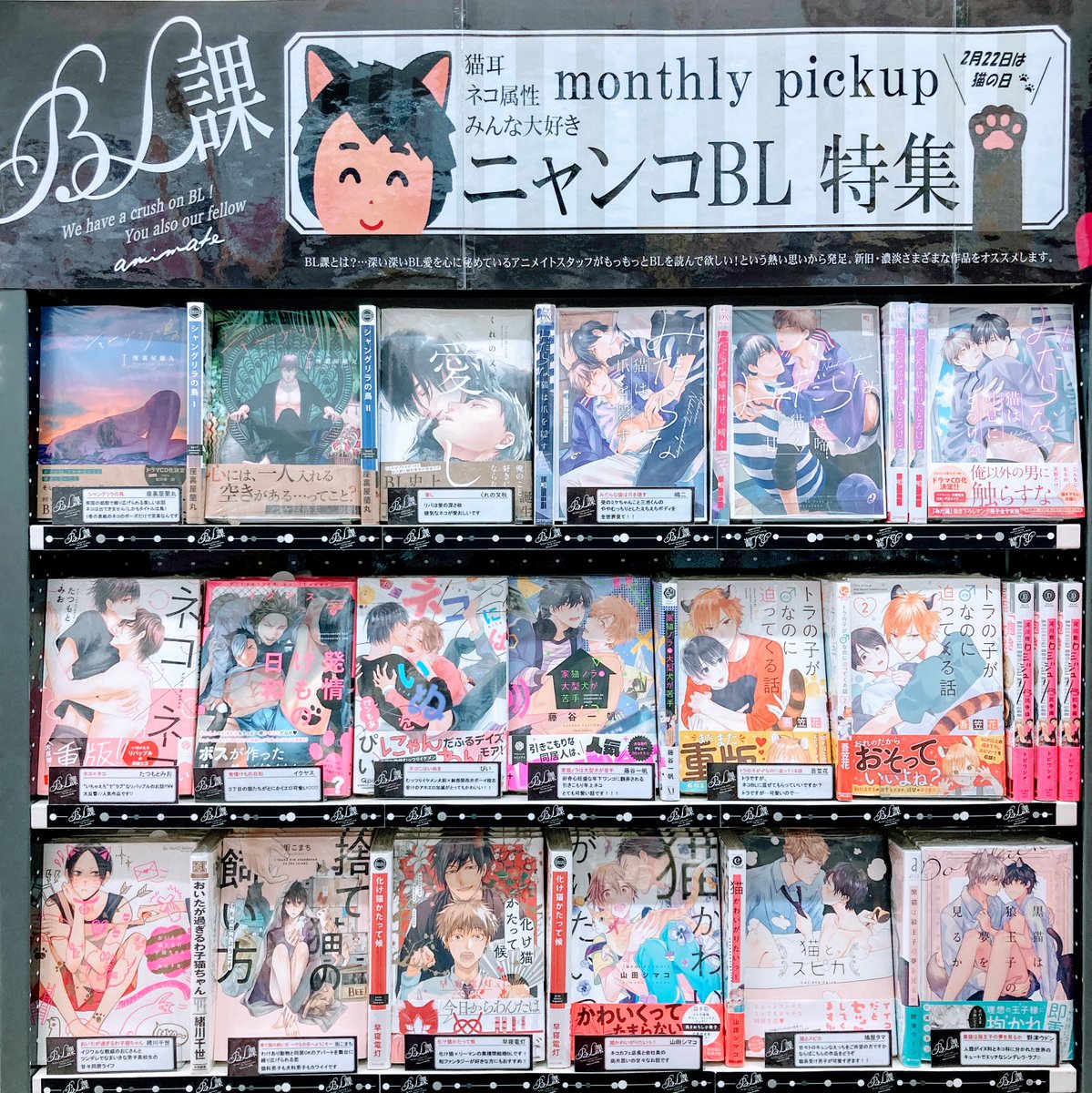 アニメイト京都 アプリおすすめ アニメイトbl課 ごろにゃん ごろにゃん 希望は甘々にしておくれやす 今月2月の Bl課 は ニャンコbl 特集どすえ Bl界最強属性ネコちゃん 甘やかさずにはいられない な なんや