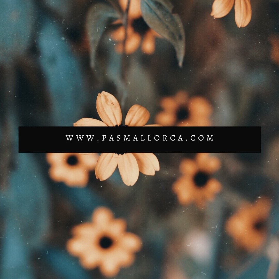 pasmallorca's tweet photo. We are conceived to offer all sort of solutions to property owners. For further information visit https://t.co/HyecATseab
#propertymanagement #personalassistants #propertymaintenance #spain #mallorca #vaservice #executiveassistant #majorca #baleares https://t.co/F0REPbP4uY