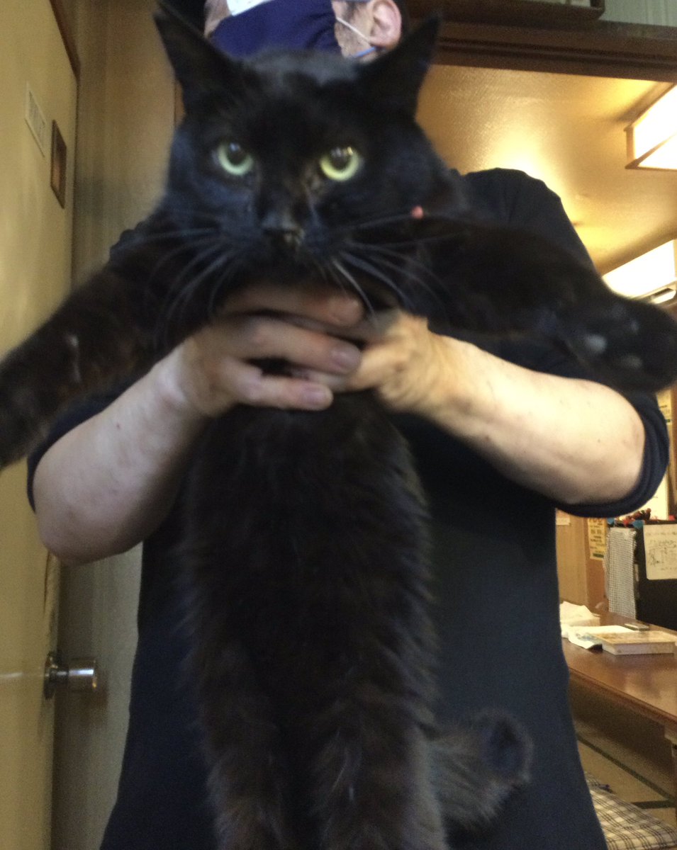 ロビンソンクルーソーカレーハウス