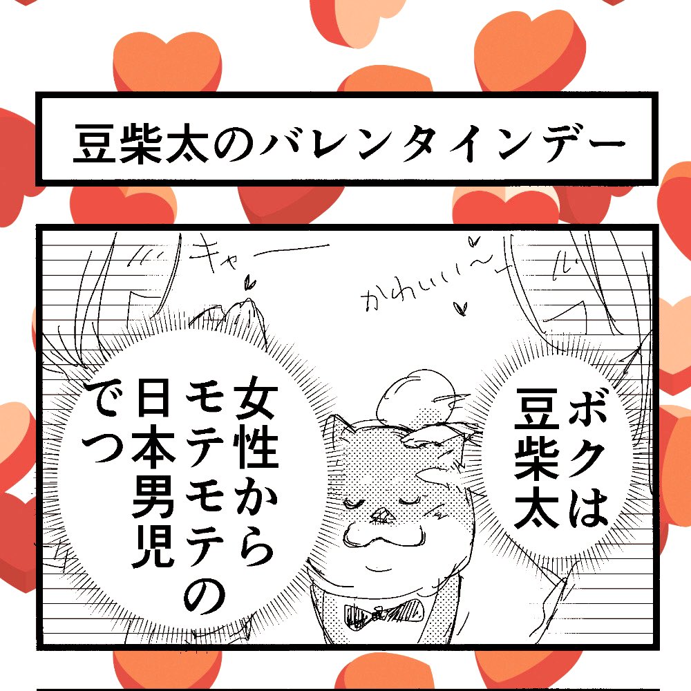 4コマ漫画?
「豆柴太のバレンタインデー」

自分のことを人間だと思っている
ワンコの4コマです?✨

#柴ばあと豆柴太
#柴犬
#4コマ漫画
#バレンタインデー 