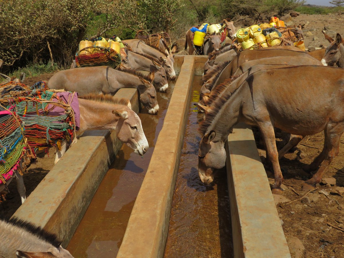 This same water we use to drink after animals drink,in my village in Hulahula and karantina Marsabit county,after 21centery we are still searching for water.