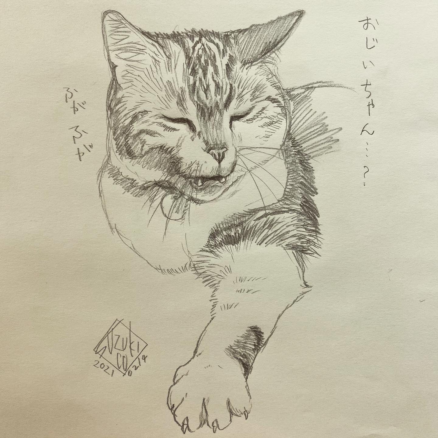 鈴木ズコ 3 6ねこまつりフェス出展 2 16 3 13出発点 渡る世間は猫ばかり展 参加 スマホで捉えたあくびの瞬間の撮れ高1 2 3 入れ歯 ってふがふが顔で油断させておいての はーん って小馬鹿にした顔からの猟奇的なキシャー ねこあるある Yawn