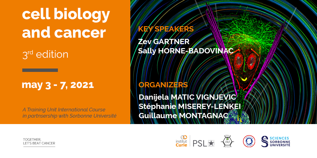 #TrainingUnit | Cell biology and Cancer, 3rd edition: save the date and join our international course on May 3rd! 🌍🗓️

Details and registrations ➡️ ow.ly/eR1f50Ds7pt