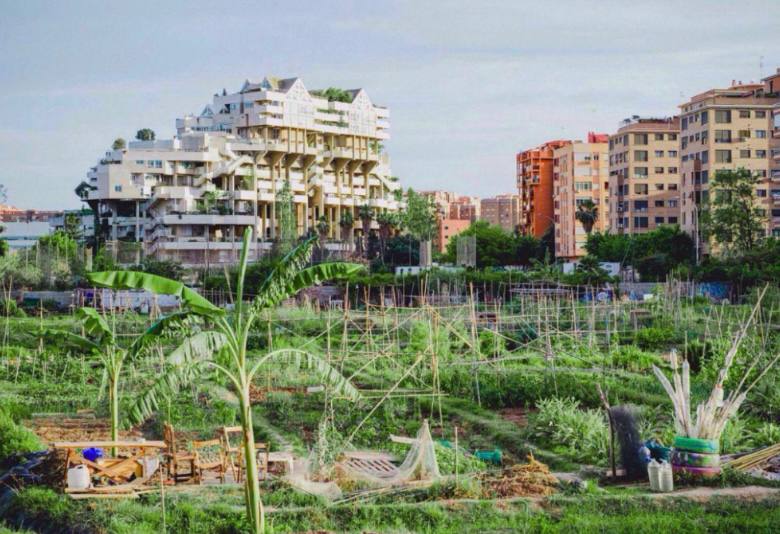 sergicampillo_'s tweet photo. 🤝👥 Una proposta de consens per a un barri amb un moviment veïnal i associatiu ben viu que reclama diàleg i negociació per dissenyar el seu propi barri. 🦋🌿🥕🍆🏗️

🖋️ D'això escric hui al @levante_emv ➡️ https://t.co/acvElMUYk0

📸 Fotos cedides pel CSOA de Benimaclet. https://t.co/clqHq8oUjY