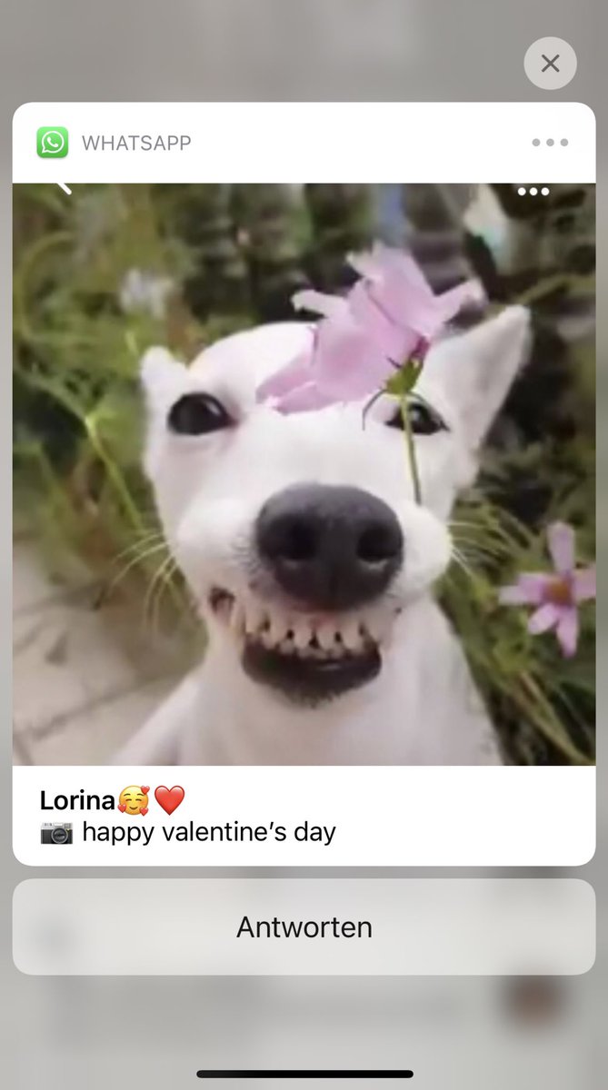 That‘s the type of friend you need in your life @lorintzki &lt;3