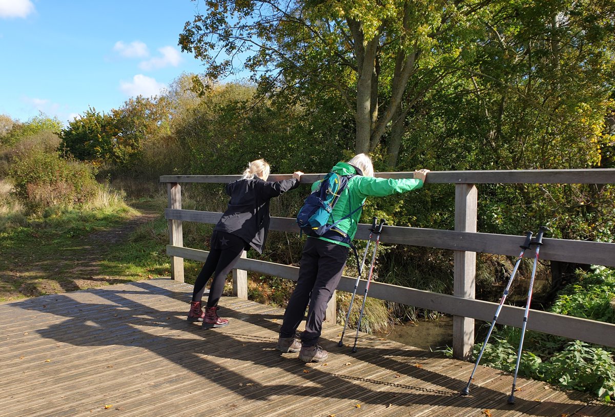 ActiveLLROrg's tweet photo. Did you know #Menopause symptoms can last an average of 4 years!
Join our #ThisGirlCan #PositivePause event NOW,
💬Relaxed atmosphere & open conversations
🤷Top tips & hints to cope with symptoms
🚶♀️Receive an invite to a Nordic Walking session
Book: https://t.co/n3GJNGg8hL https://t.co/9h8QfHnAvQ
