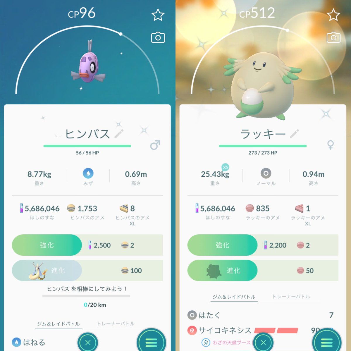 いんこぴー على تويتر 本日ゲットした色違い Pokemongo ポケモンgo Pokemongo ヒンバス ラッキー