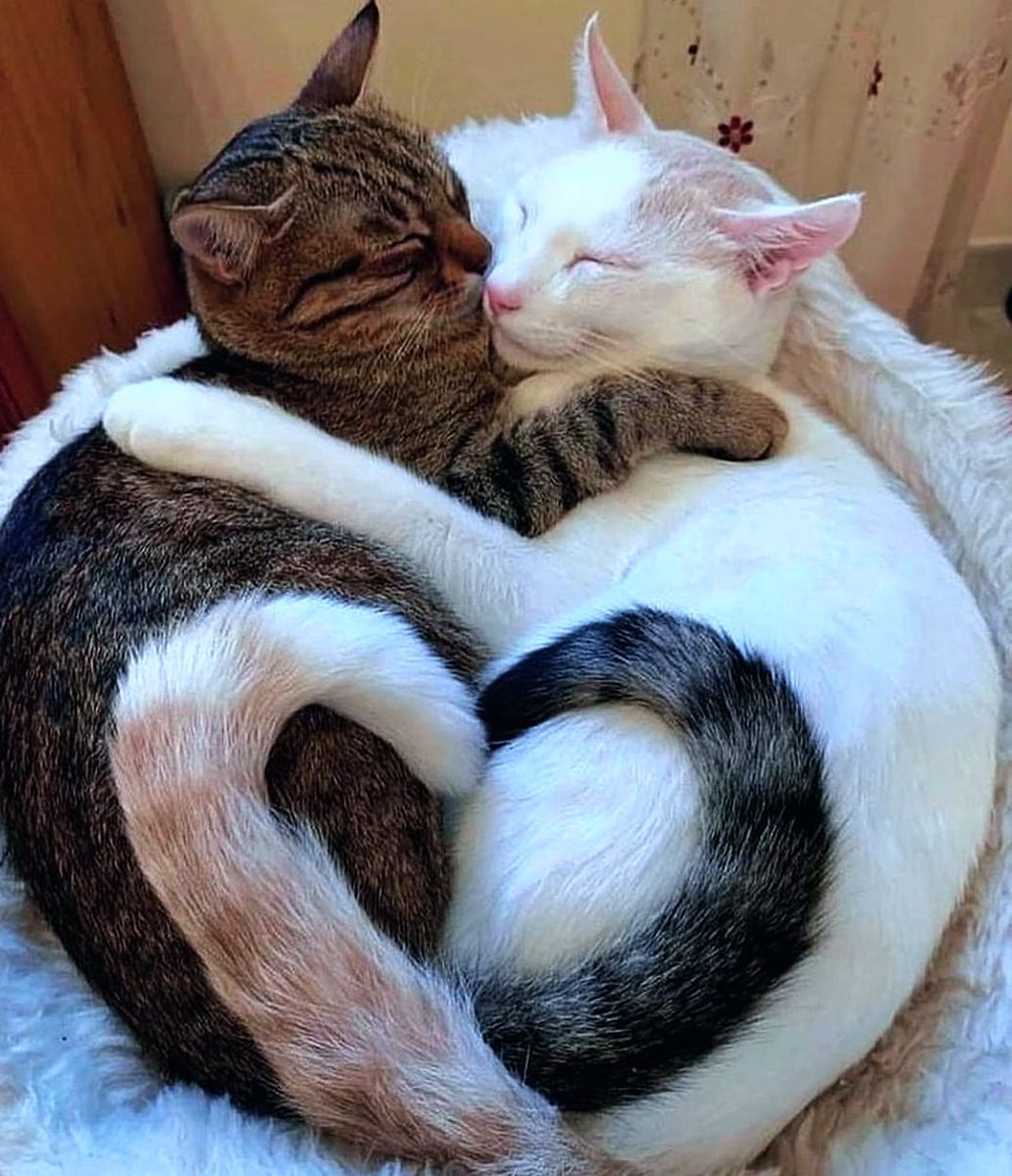 Norham WI tweet media