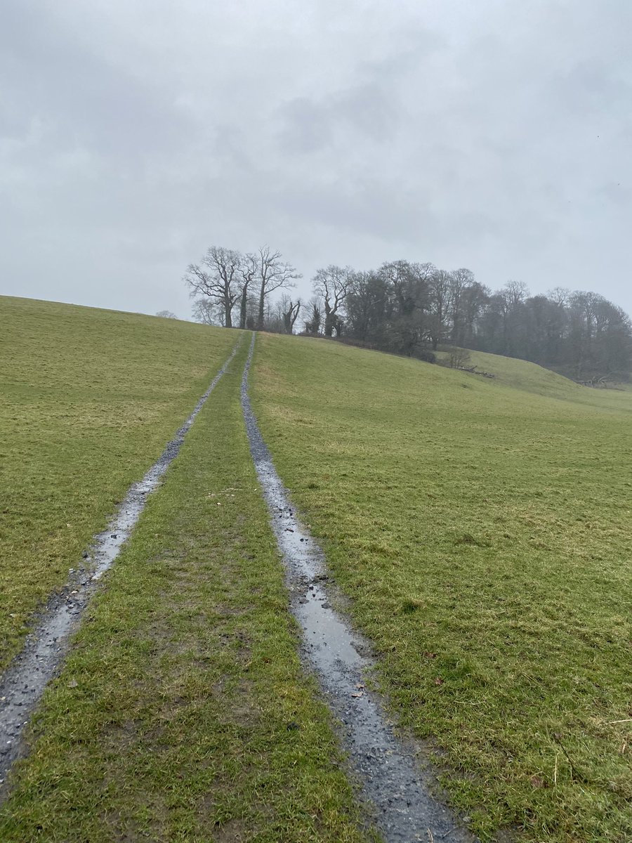 Lisa DH (@lisadh_75) on Twitter photo Day 2: <a href="/Rasselbock_Run/">Rasselbock Running</a> Trail Scavenger Hunt. Went to my happy place! #absolute360 #truesapien #teamrasselbock #FromMyDoor #ofynrws <a href="/RunWales/">I Run Wales</a> #castleonthehill Day 2: <a href="/Rasselbock_Run/">Rasselbock Running</a> Trail Scavenger Hunt. Went to my happy place! #absolute360 #truesapien #teamrasselbock #FromMyDoor #ofynrws <a href="/RunWales/">I Run Wales</a> #castleonthehill