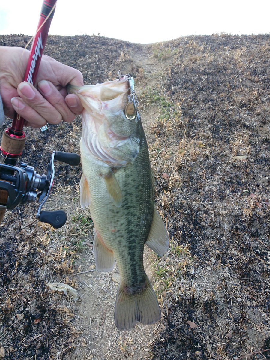 むーやん バス釣り Bass1107eg Twitter むーやん バス釣り Bass1107eg Twitter