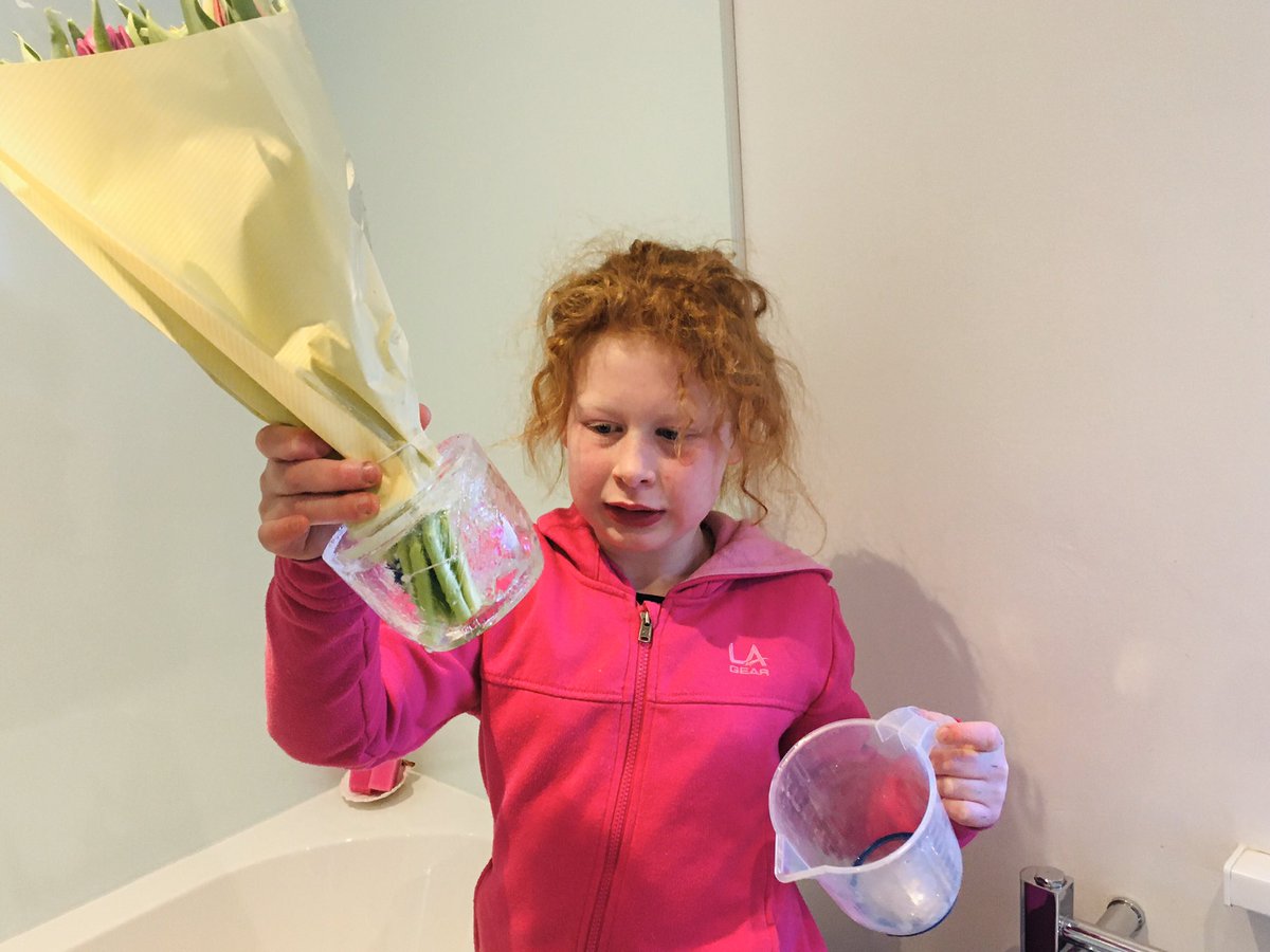 Thing’s I’ve learnt in life: Number 437. Don’t hide Valentine’s Day flowers in the shed overnight if the temperature is likely to go below zero.
  #Valentinesday2021