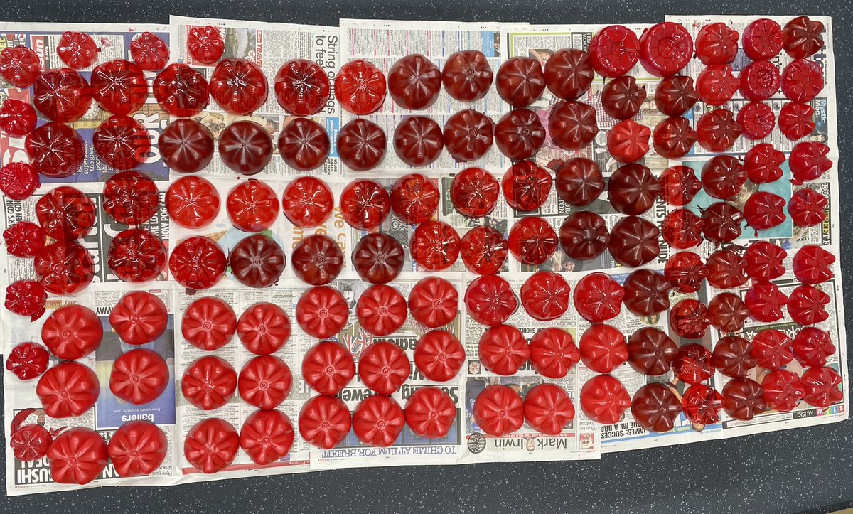 wistastonscouts's tweet photo. Operation Poppy’ is GO! ✅ The first 130 bottle ends down, plenty more to go. Long road ahead but we know it’ll be worth it. Remember to keep collecting for us! 👏🏼 https://t.co/Ac9e8p6M3d