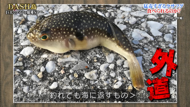 神奈川県ふぐ協会 Fugu Kanagawa Twitter 神奈川県ふぐ協会 Fugu Kanagawa Twitter
