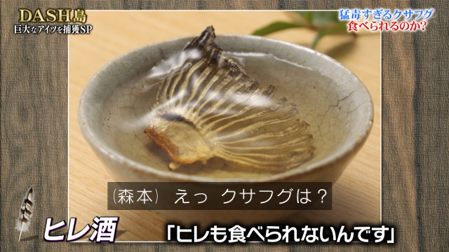 Dash島で四ツ手網漁をしたら猛毒のクサフグが獲れたが ふぐ調理師免許を取ったメンバーは まだ いない 鉄腕dash 2ページ目 Togetter