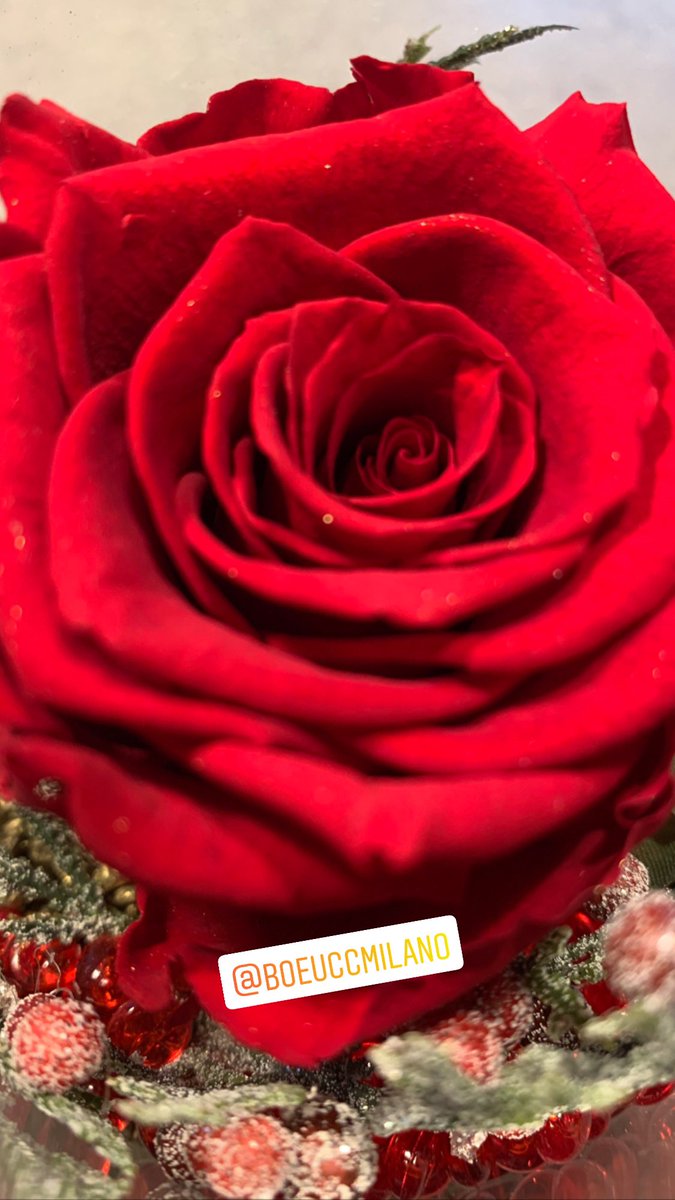BoeuccMilano's tweet photo. Buon San Valentino a tutti gli innamorati❤️ Monica &amp; Marco 🌎 https://t.co/vPHHE1hpSj

#BoeuccMilano #SanValentino #IgersMilano https://t.co/scwJ0fd3I8