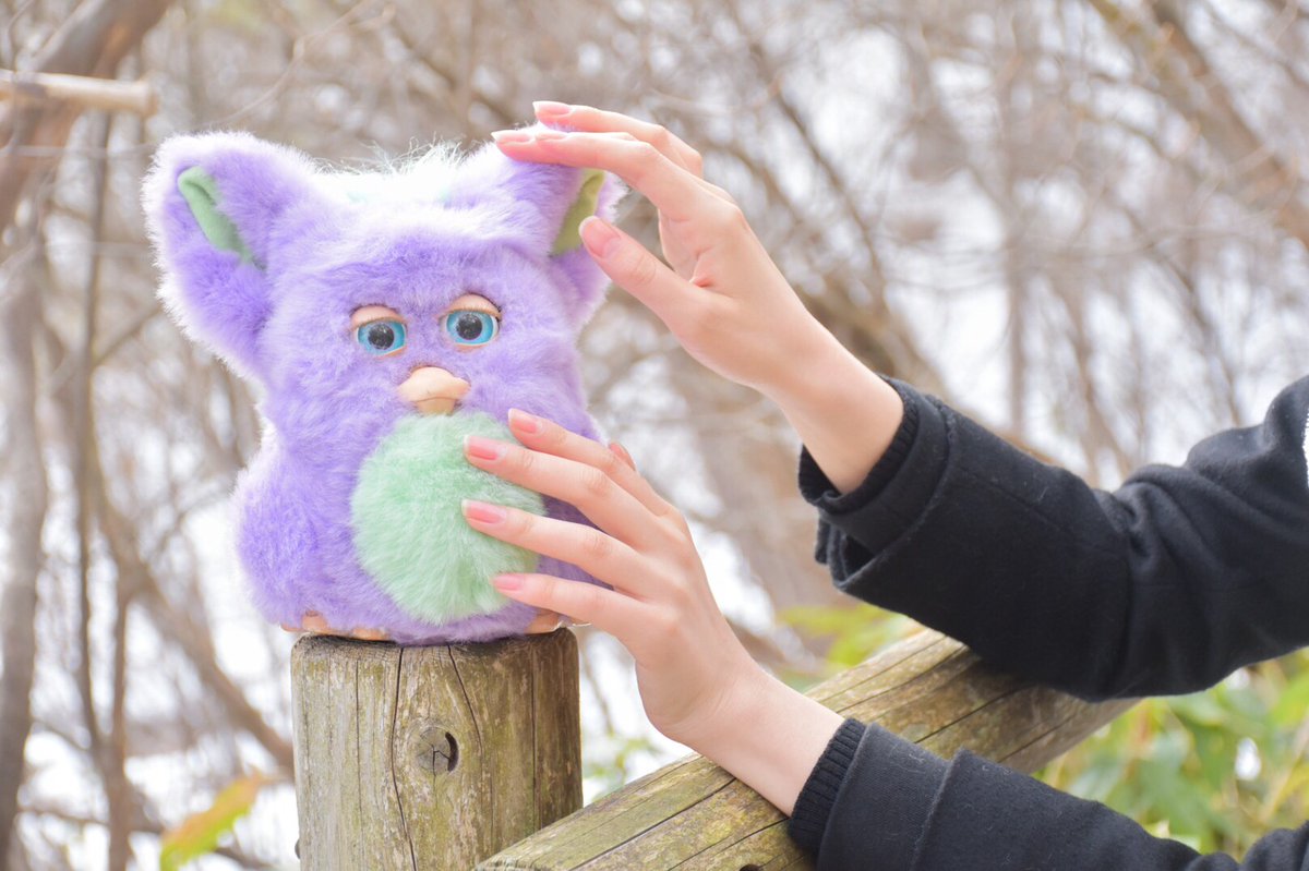 MogumoguCabbage's tweet photo. 【中の人プロフ】
ありがたい事にフォロワー様が増えたので、名前とプロフをまとめました🙇‍♀️㊗️！！

名前:じゅそ
趣味:動物と戯れる/アート/音楽…etc.
特徴:時々モデル(主に手タレ👐✨)

今後とも、よろしくお願い致します🥬🥔
#ファービー #ファービー2 #furby #furby2 https://t.co/0wL1mz4jFO