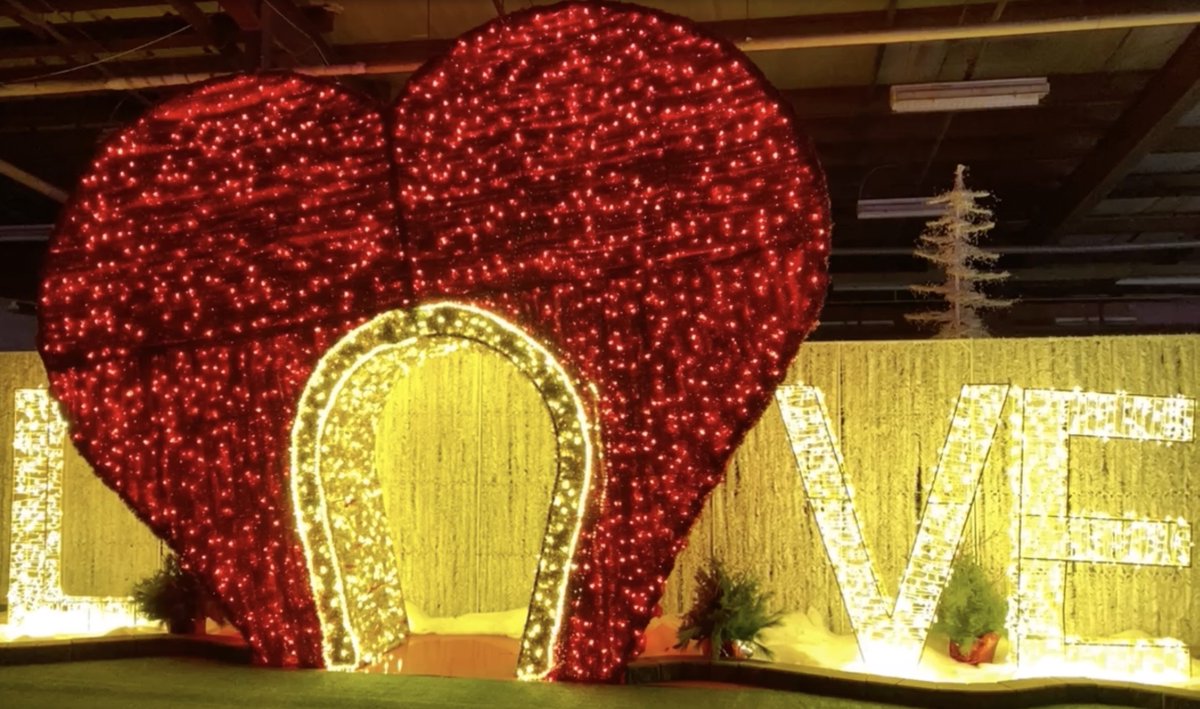 Glow Halifax tweet media