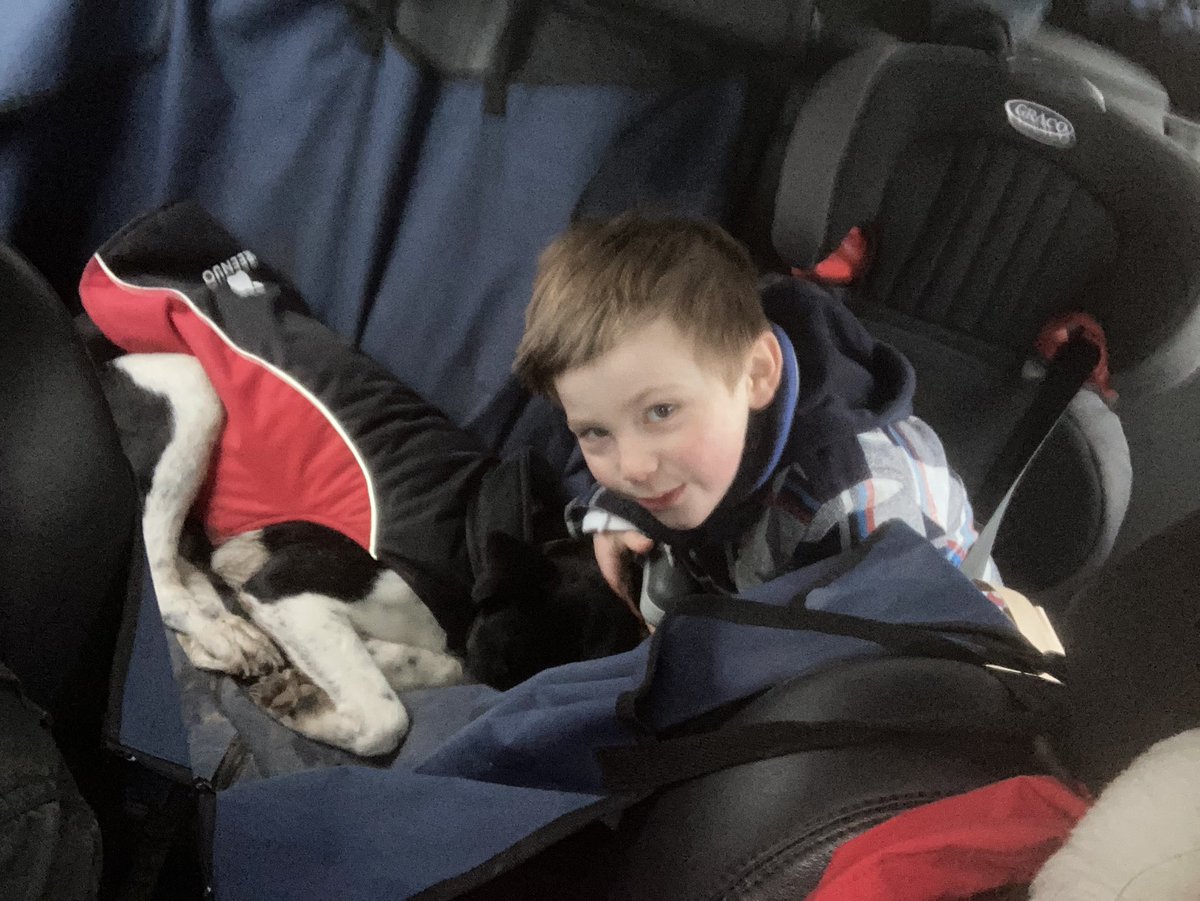 kit2kat's tweet photo. The boys and pooch went out without me yesterday and it was sooo cold it was cut short... so we made up for it with 4miles today π #50milesinfeb #forSian Miles 22-25 #halfwaythere @ChildSocChurch @childrensociety
https://t.co/D61i5d6zR7 https://t.co/52gxdyt0gA