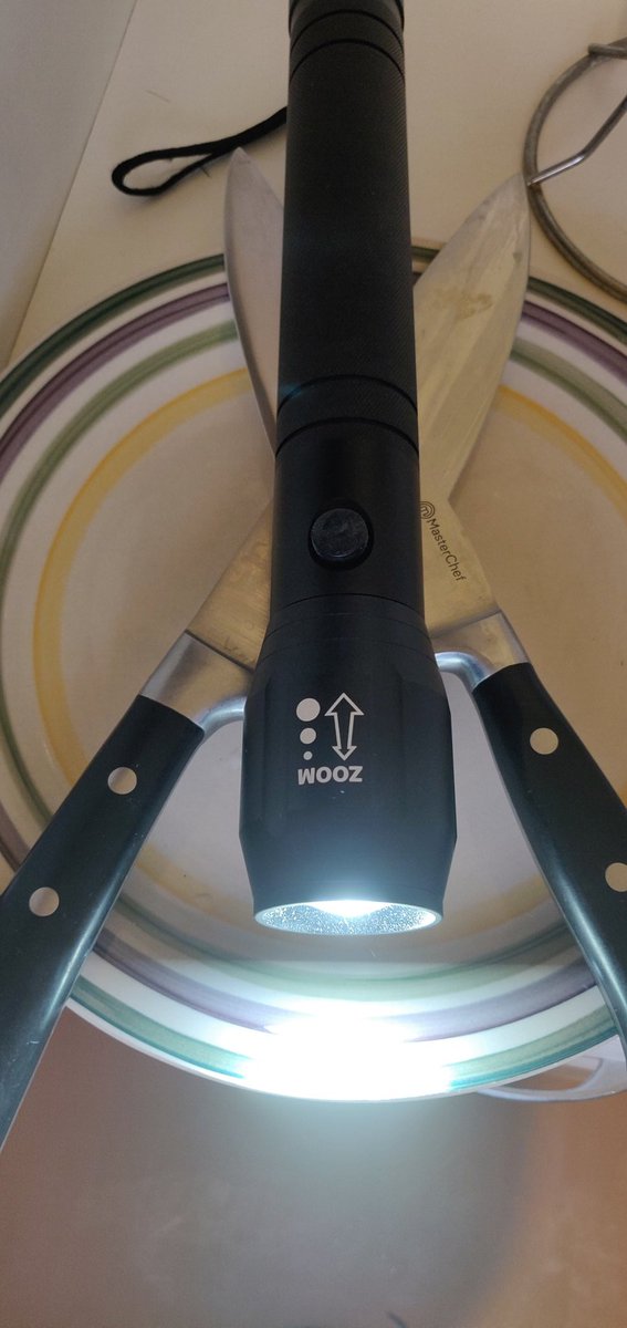 Ну что, я выхожу. Фонарь и пара кухонных ножей в рукава, вдруг палицаи попадутся.