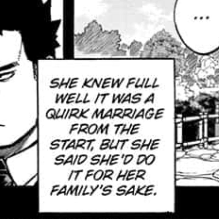 #mha301 

as someone who has seen many marriages like this, Rei's agreement doesn't make it okay. I just want people to understand that 