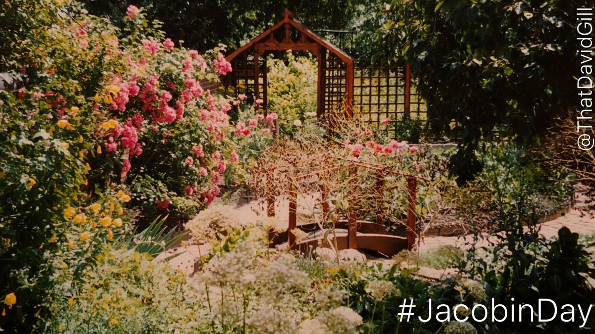 ThatDavidGill's tweet photo. @melindahaunton Woad in my old herb garden. As a biennial it comes into its own as its yellow flowers transform into black, pendent seeds, making it curiously more decorative as it dies. Here I’m afraid it’s visible only as the haze before the bridge. #JacobinDay https://t.co/7oW3hOAISr