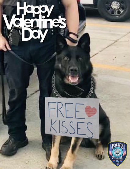 ❤️Happy Valentine’s Day❤️!!!