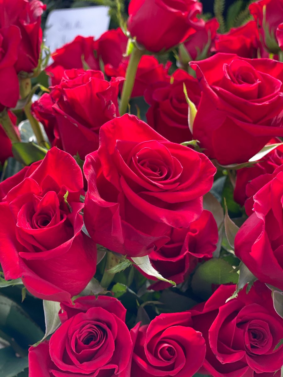 CityFloral's tweet photo. A true Valentine's Day Classic—the red rose. https://t.co/XGleo4vXAy
