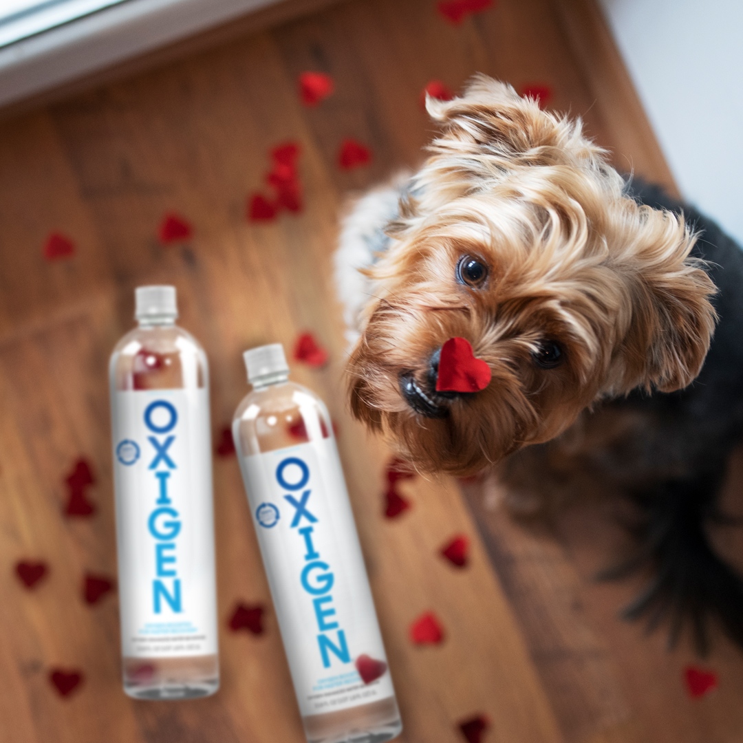 Any holiday that celebrates love is a win in our book! Happy Valentine's Day! #ValentinesDay #drinkOXIGEN #love #OxygenWater #Water #BottledWater #EnhancedWater